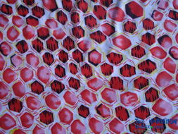 长期稳定供应优质针织面料与针纺织品，共创双赢合作